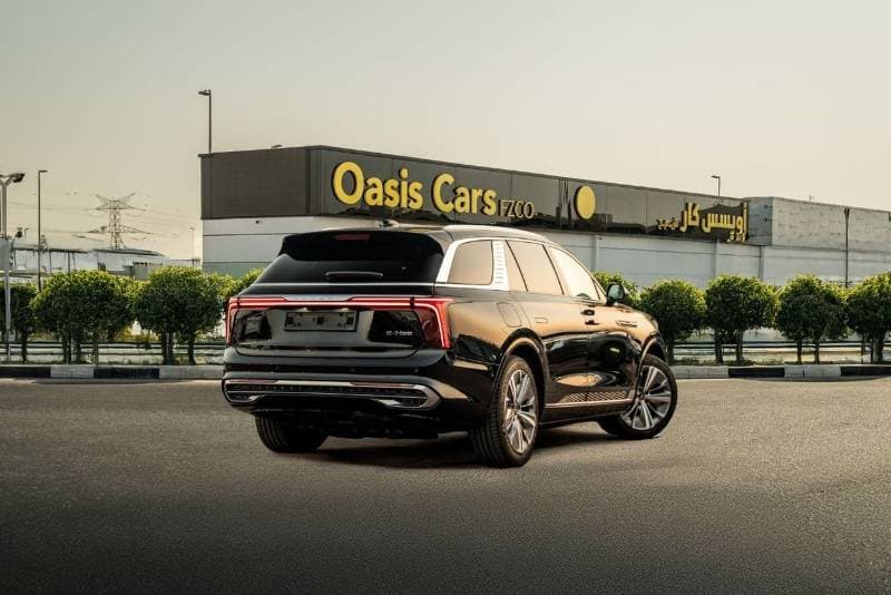 2022 HONGQI EHS9 DELUXE thumbnail 3