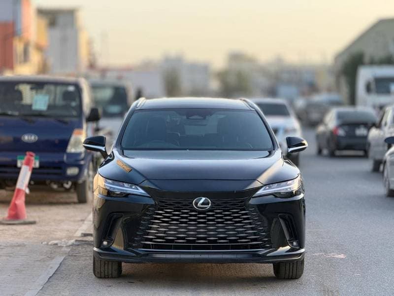 2023 Lexus RX350h HEV thumbnail 6