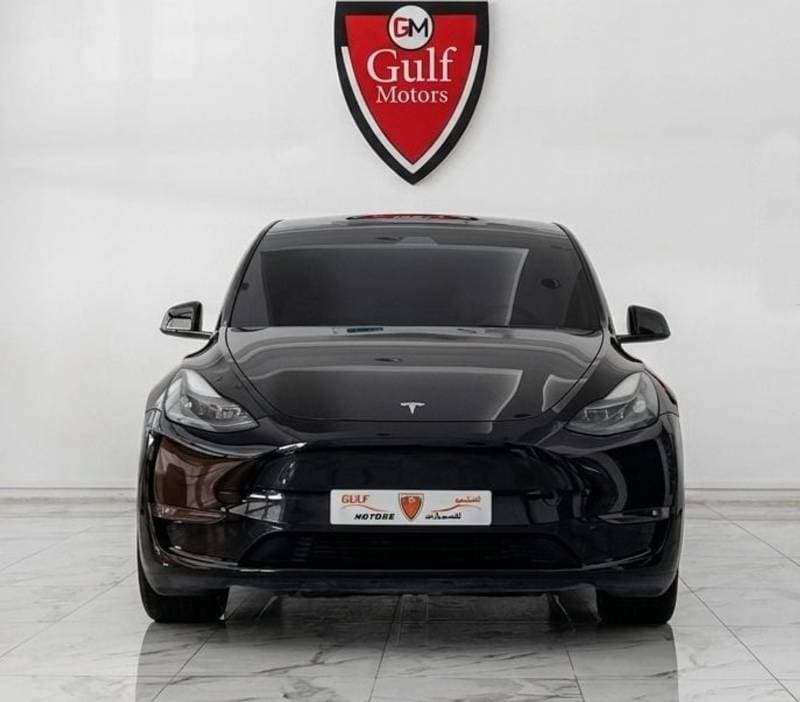 2023 Tesla Model Y LONG RANGE thumbnail 2