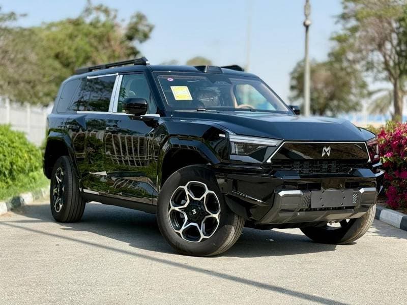 2025 Dongfeng M Hero M917
