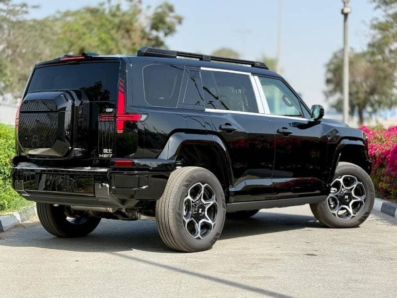 2025 Dongfeng M Hero M917 thumbnail 4