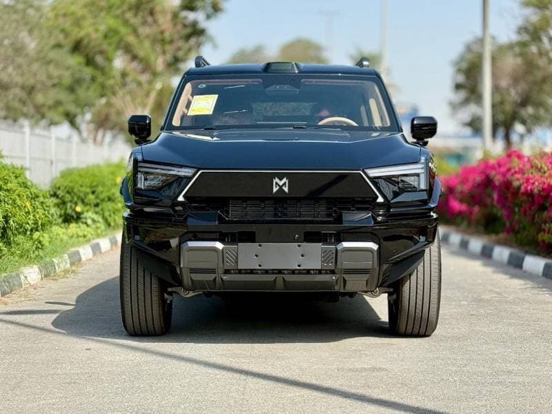 2025 Dongfeng M Hero M917 thumbnail 3