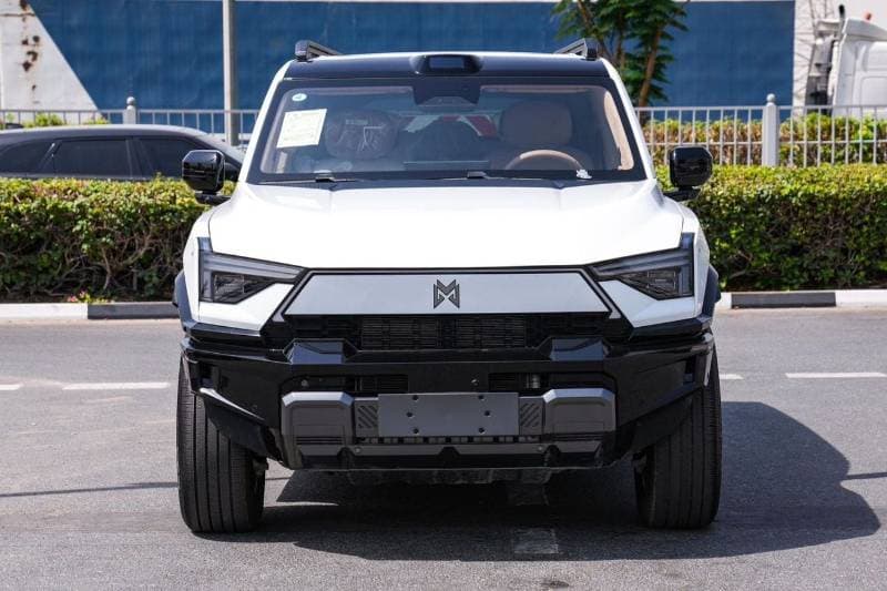 2025 Dongfeng M Hero M917 thumbnail 2