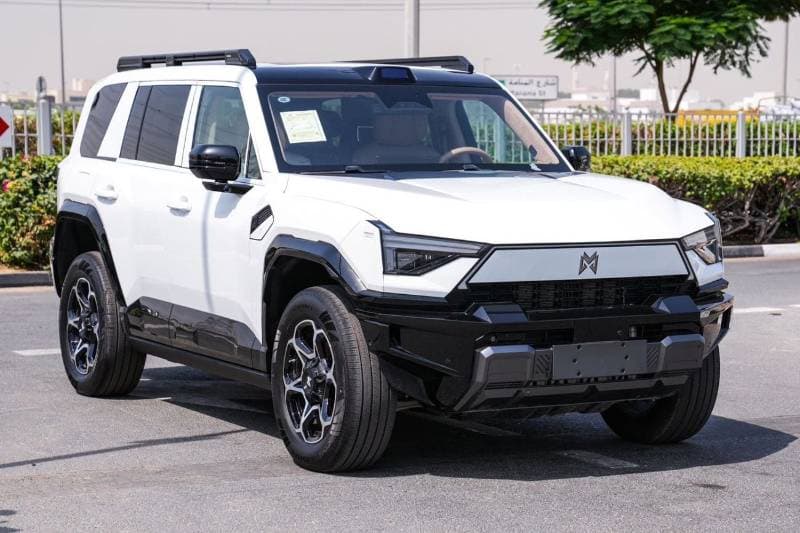 2025 Dongfeng M Hero M917