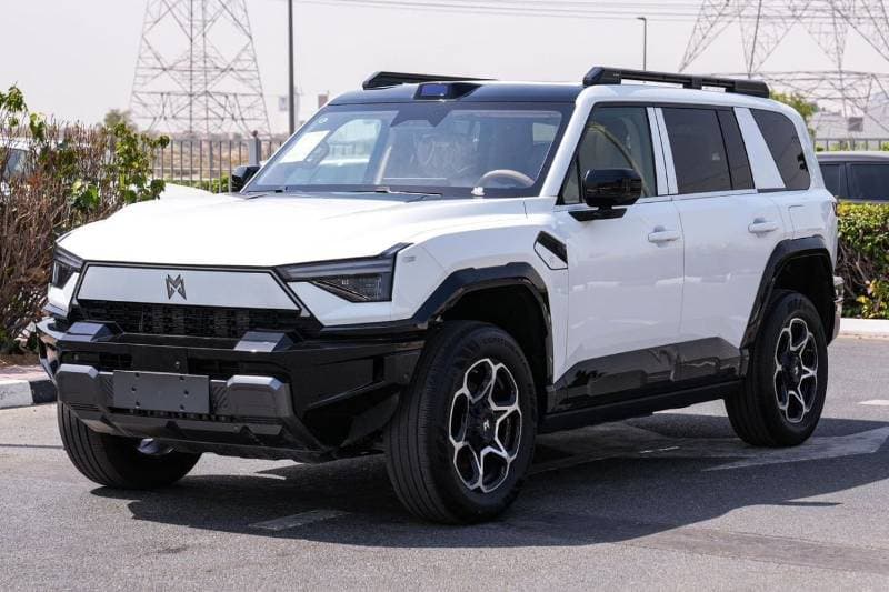 2025 Dongfeng M Hero M917 thumbnail 3