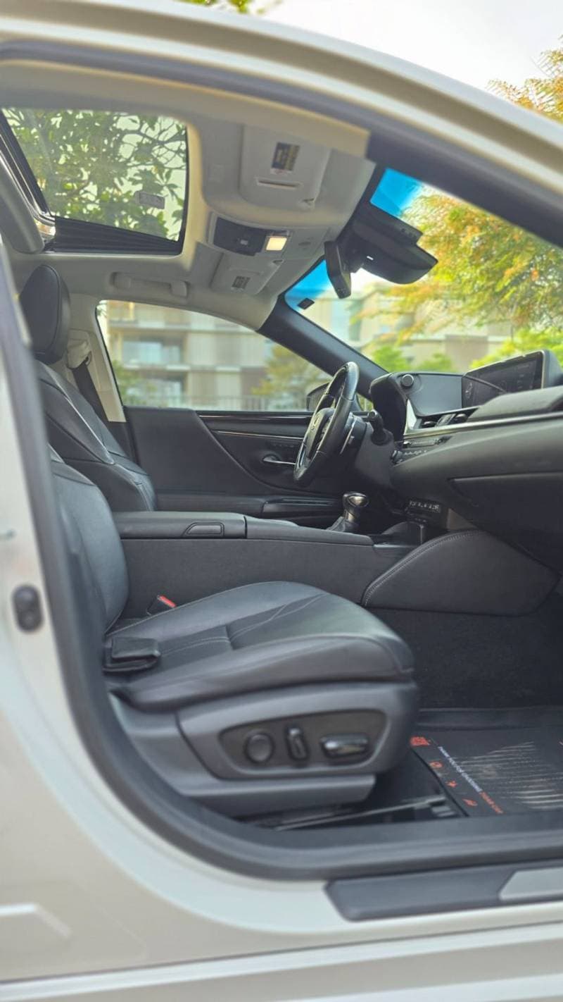 2019 Lexus ES300h PLATINUM thumbnail 8