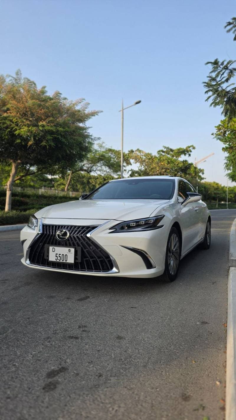 2019 Lexus ES300h PLATINUM thumbnail 2