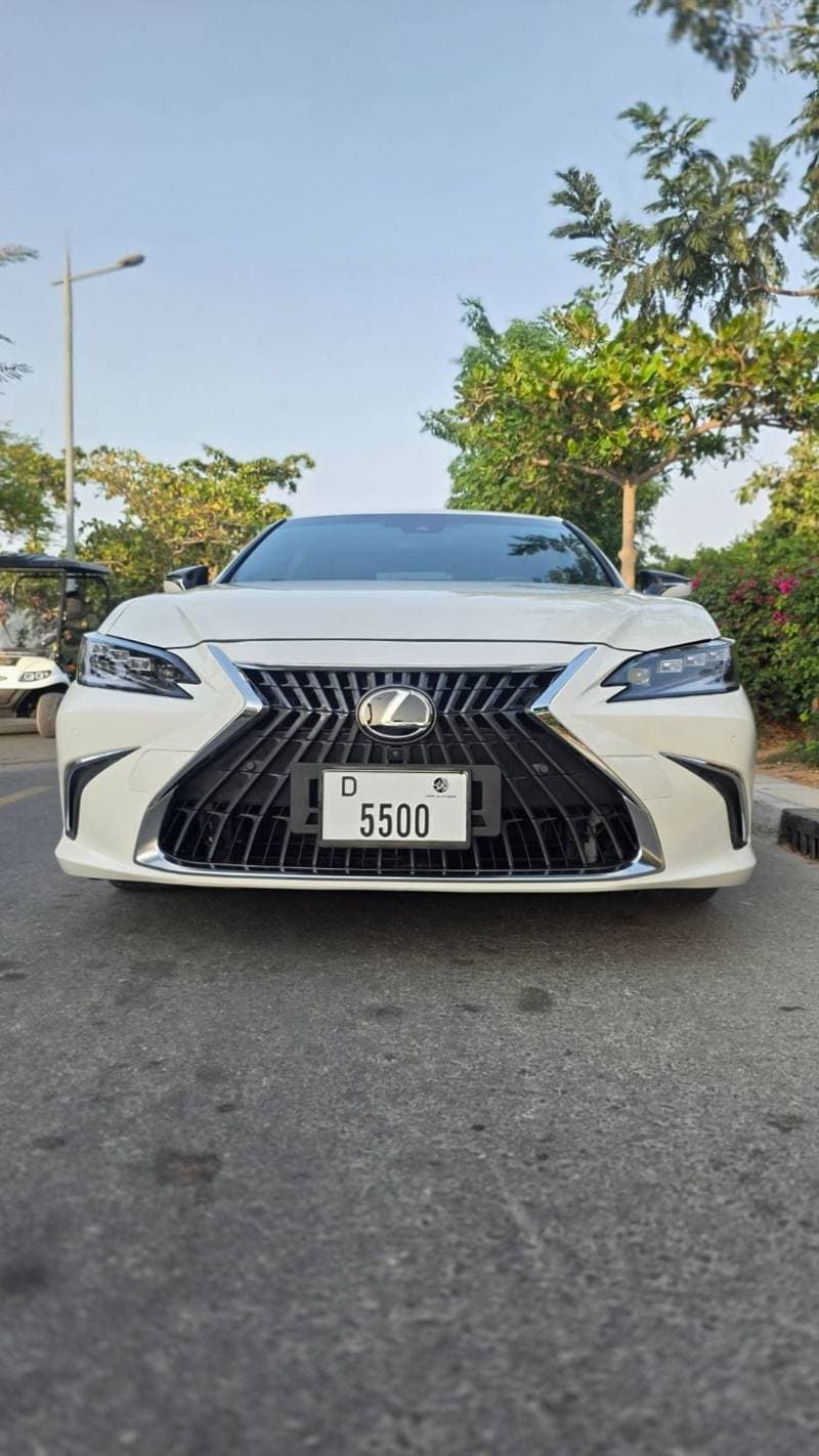 2019 Lexus ES300h PLATINUM thumbnail 3