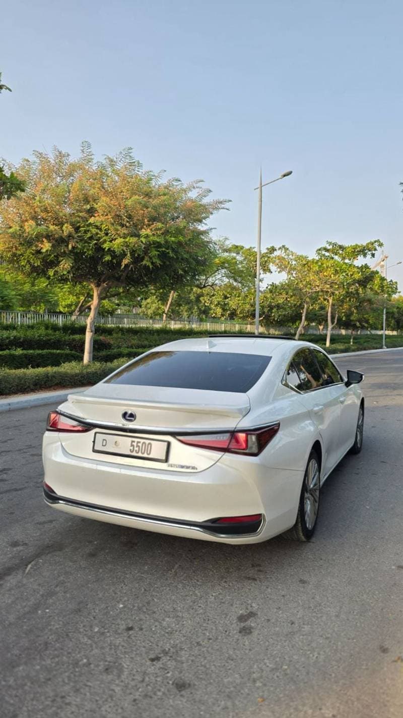 2019 Lexus ES300h PLATINUM thumbnail 4