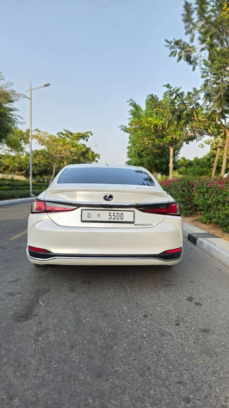 2019 Lexus ES300h PLATINUM thumbnail 6