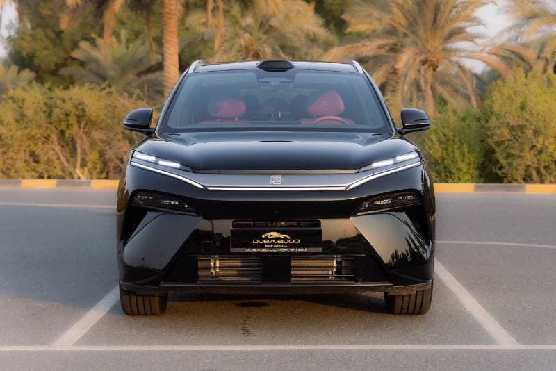 2025 BYD Tang SUPREME thumbnail 2