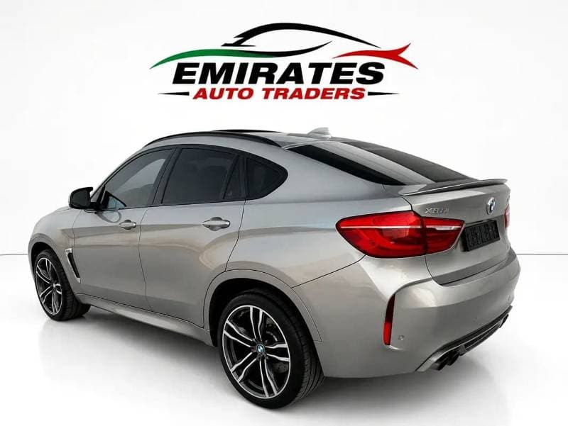 2019 BMW X6 35i M SPORT thumbnail 7