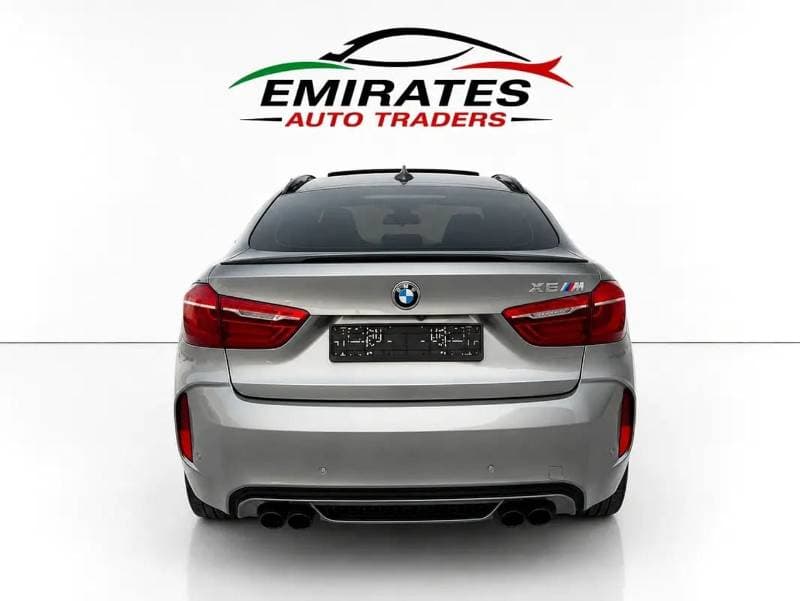 2019 BMW X6 35i M SPORT thumbnail 6