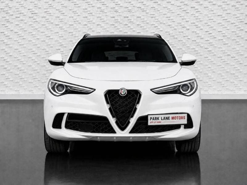 2020 Alfa Romeo Stelvio Quadrifoglio thumbnail 2