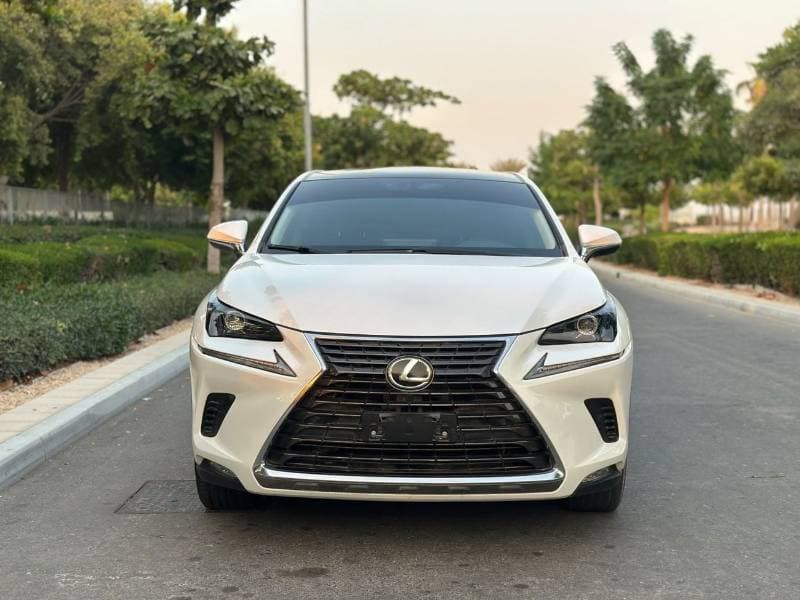 2021 Lexus NX300 PLATINUM