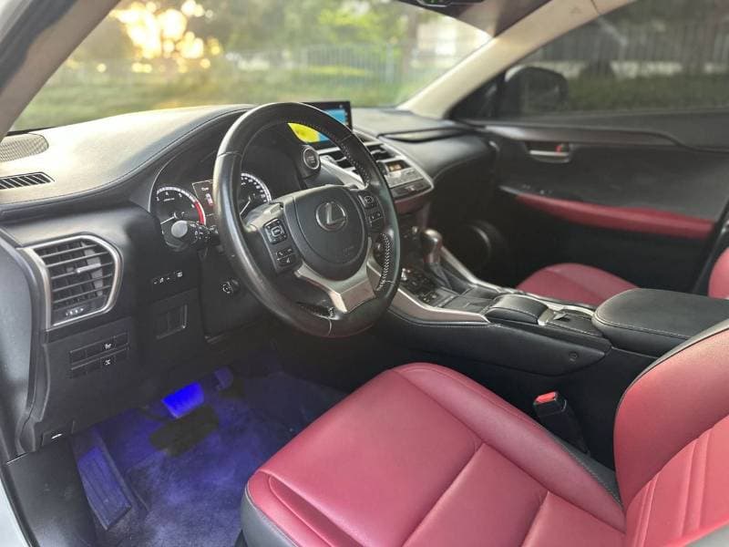 2021 Lexus NX300 PLATINUM thumbnail 8