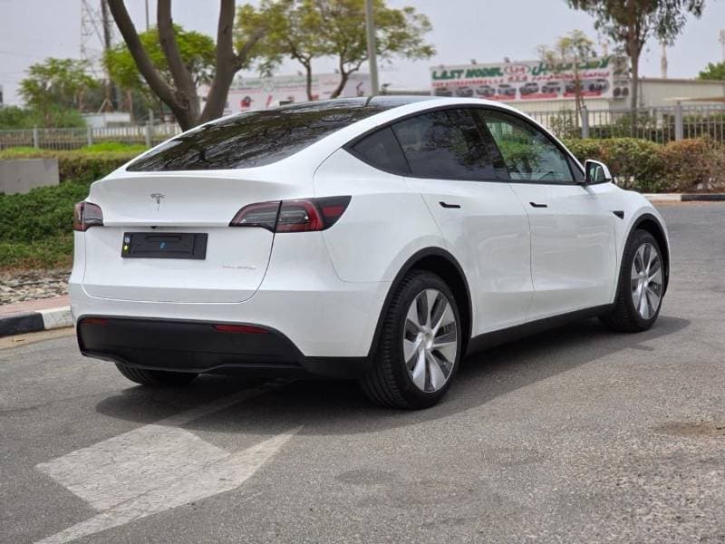 2023 Tesla Model Y LONG RANGE thumbnail 2