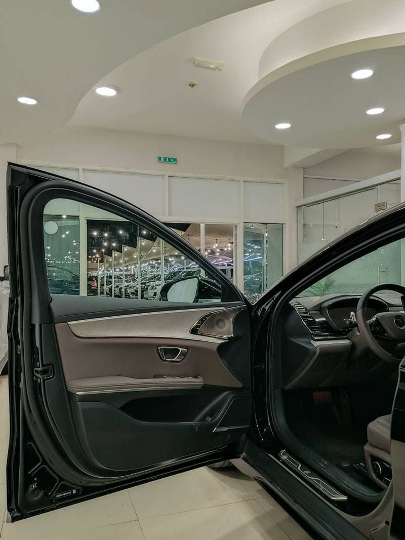 2024 BYD HAN thumbnail 7