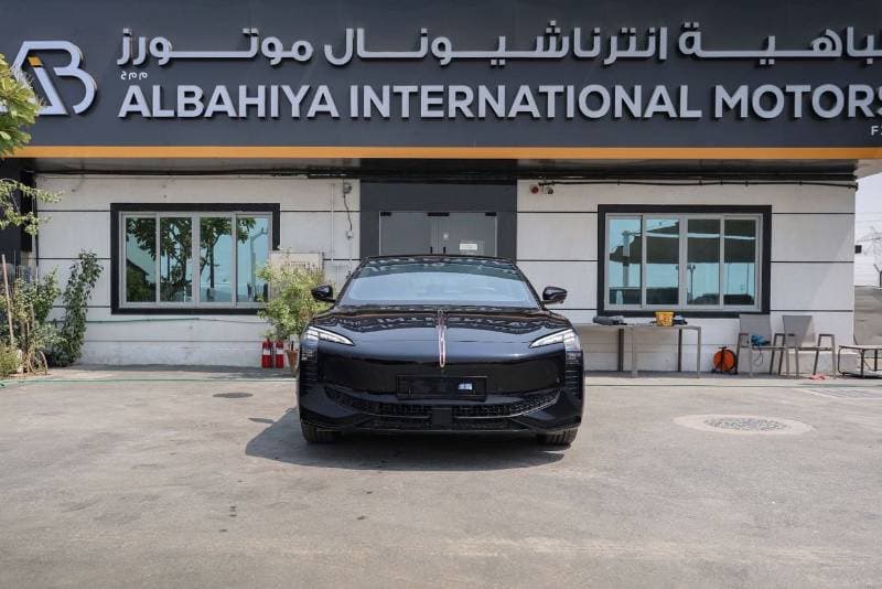 2025 HONGQI Eh7 85 KWH RWD thumbnail 2