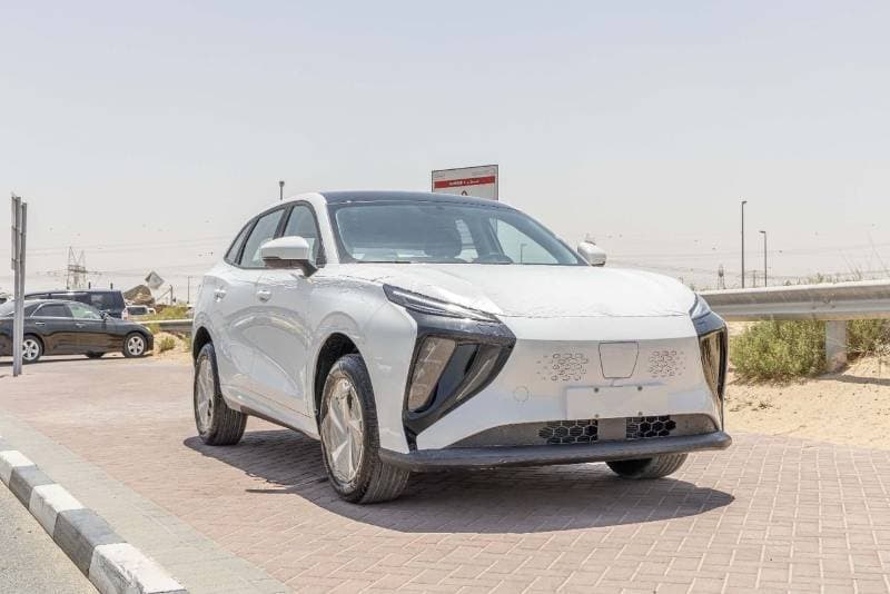2025 Forthing Friday EV