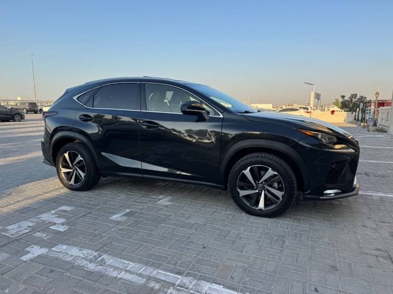 2020 Lexus NX300 PLATINUM thumbnail 2