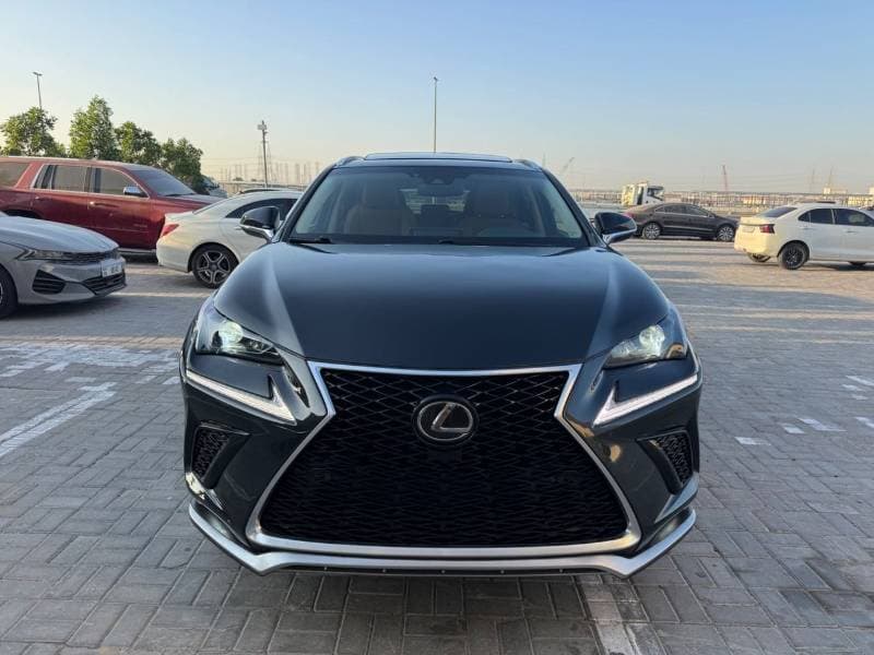 2020 Lexus NX300 PLATINUM