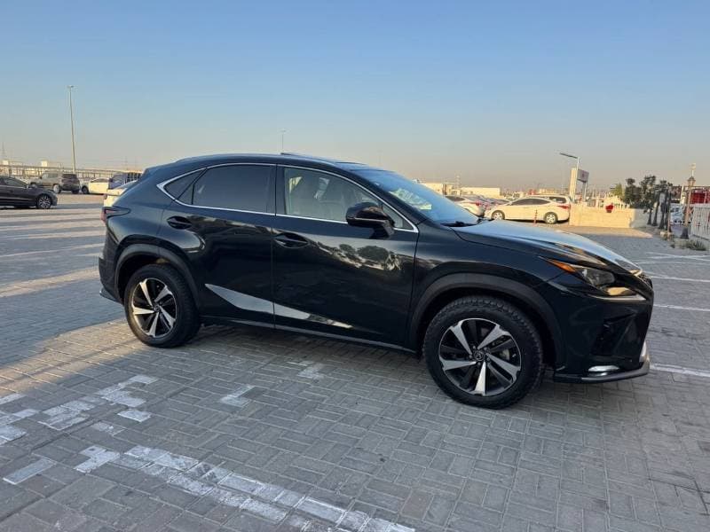 2020 Lexus NX300 PLATINUM thumbnail 4