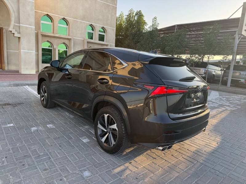 2020 Lexus NX300 PLATINUM thumbnail 3