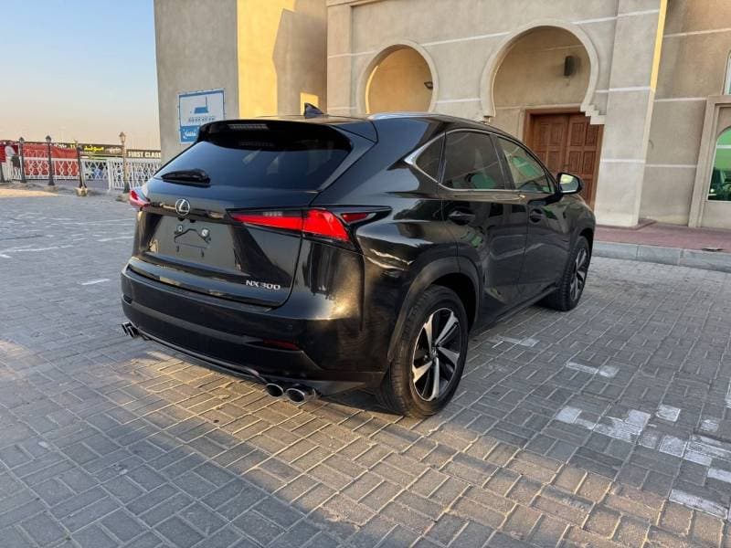 2020 Lexus NX300 PLATINUM thumbnail 5