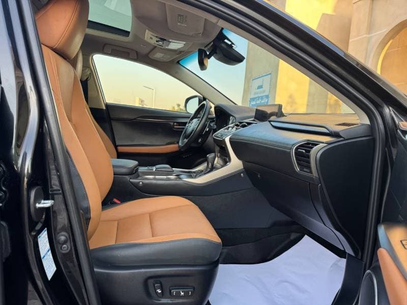 2020 Lexus NX300 PLATINUM thumbnail 6