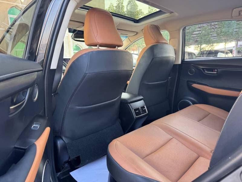 2020 Lexus NX300 PLATINUM thumbnail 7