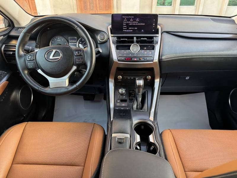 2020 Lexus NX300 PLATINUM thumbnail 8