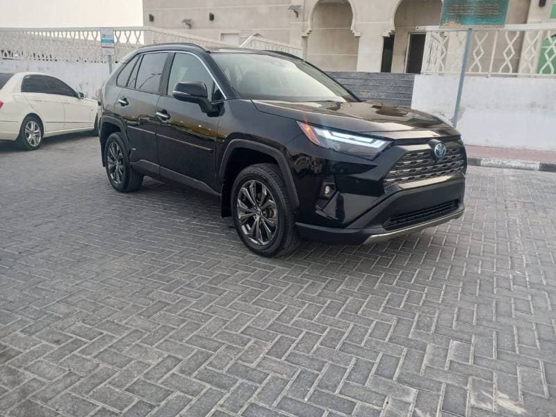 2024 Toyota RAV4 LTD HEV thumbnail 2