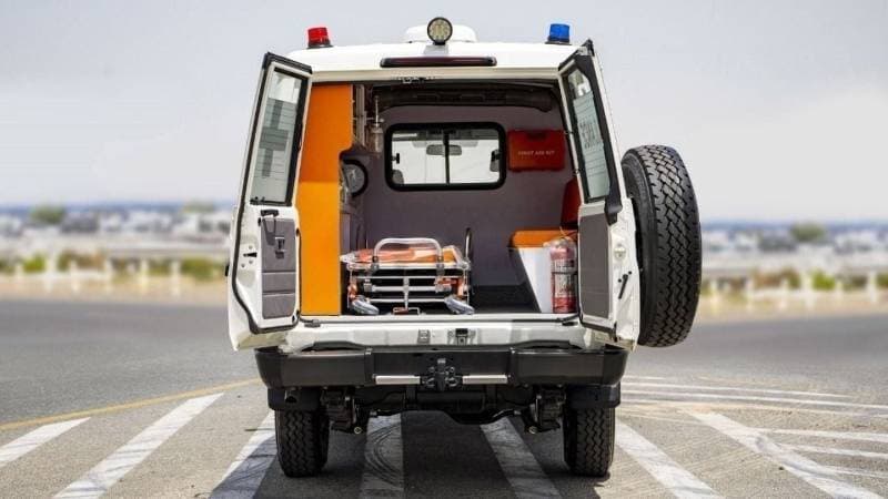 2024 Toyota Land Cruiser 70 LC76 DX thumbnail 5