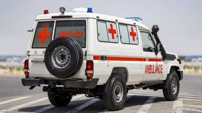 2024 Toyota Land Cruiser 70 LC76 DX thumbnail 7