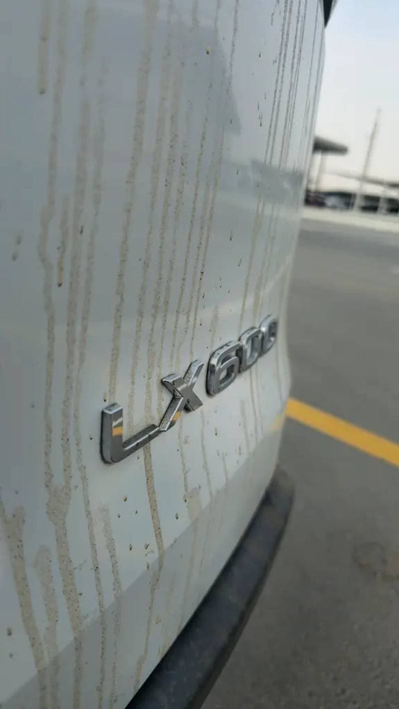2026 Lexus LX600 SIGNATURE thumbnail 8