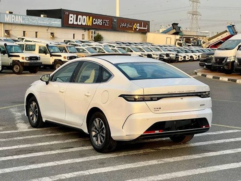2025 BYD Destroyer 05 STANDARD thumbnail 8