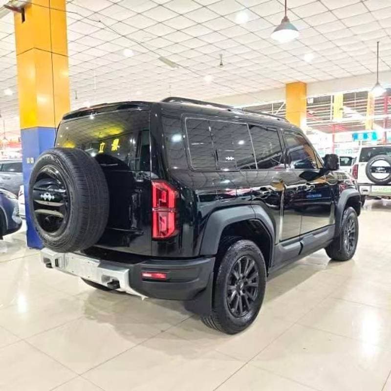 2024 BYD Leopard 5 STANDARD thumbnail 5