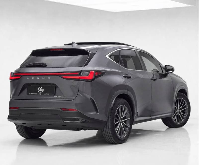 2022 Lexus NX350 F SPORT thumbnail 3