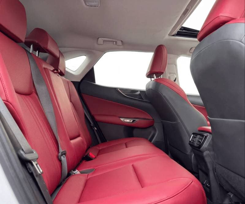 2022 Lexus NX350 F SPORT thumbnail 7