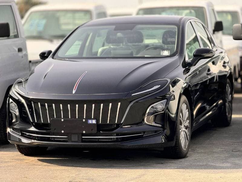 2024 HONGQI E QM5