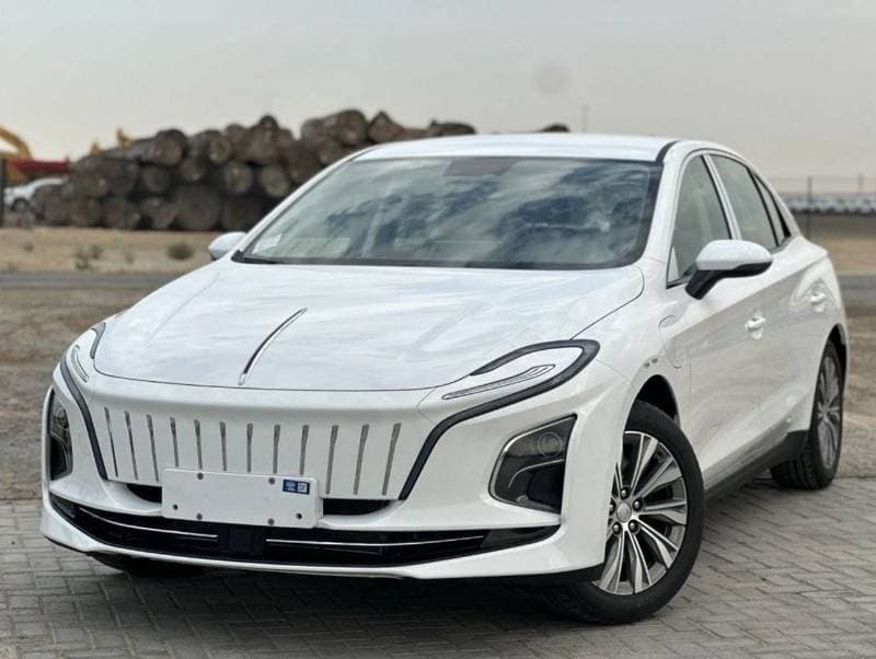2024 HONGQI E QM5