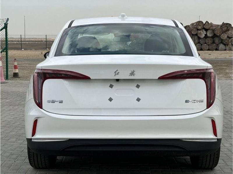 2024 HONGQI E QM5 thumbnail 6
