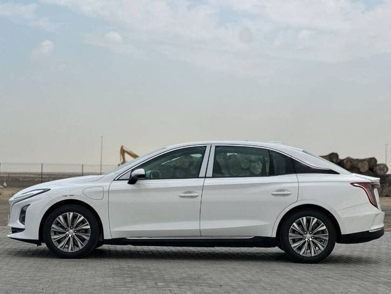 2024 HONGQI E QM5 thumbnail 5