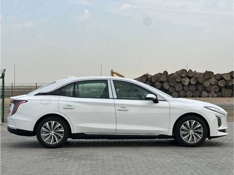 2024 HONGQI E QM5 thumbnail 7