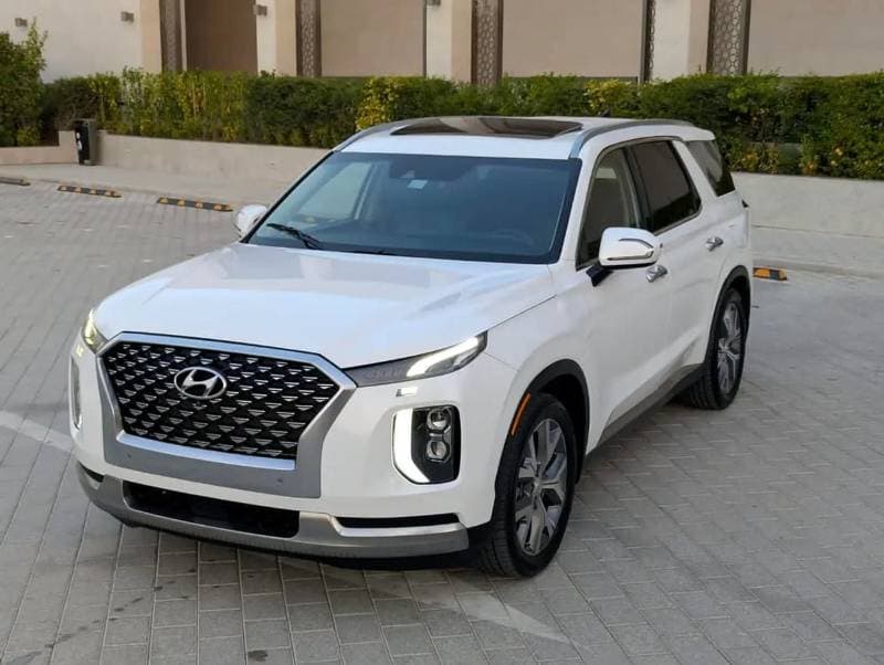 2020 Hyundai Palisade BASE thumbnail 2
