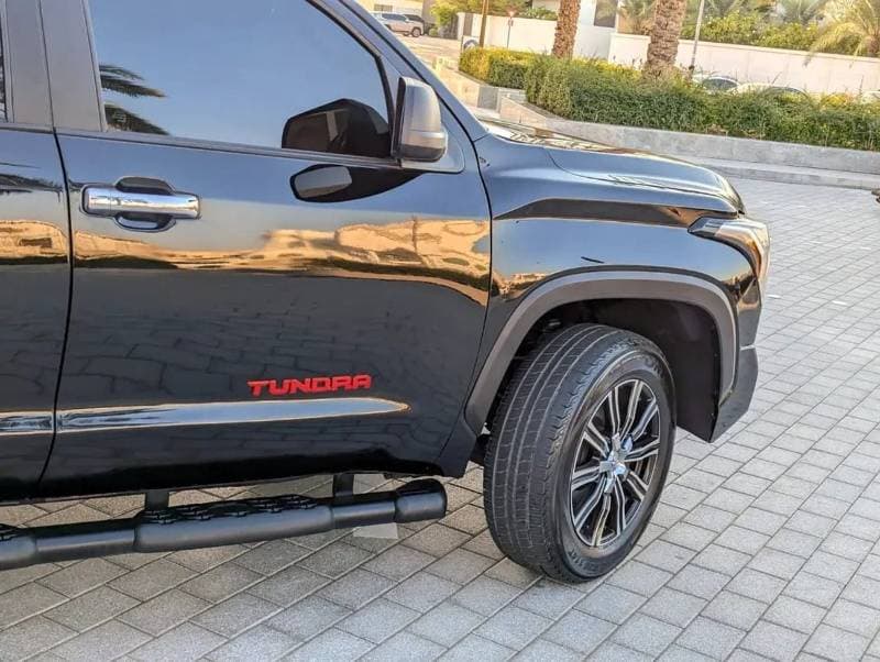 2009 Toyota Tundra SR5 thumbnail 8