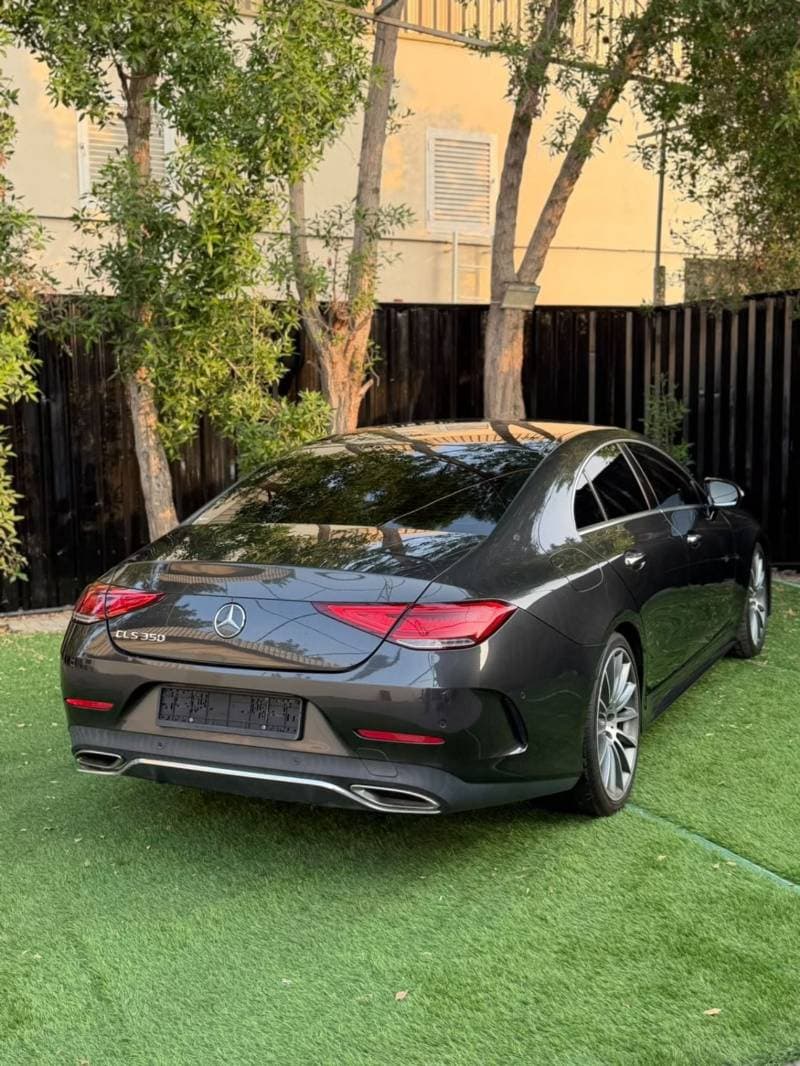 2019 Mercedes Benz CLS350 STANDARD thumbnail 5