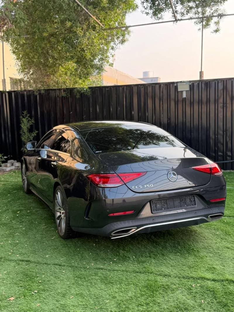 2019 Mercedes Benz CLS350 STANDARD thumbnail 6