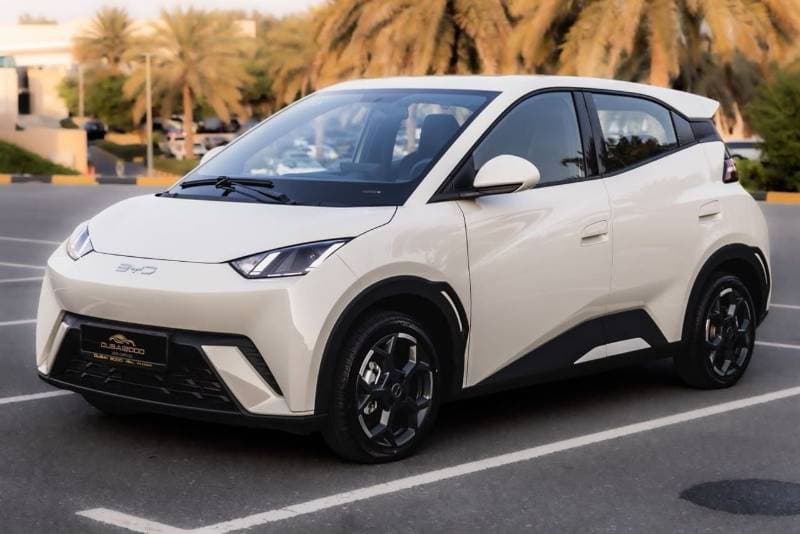 2025 BYD Seagull STANDARD
